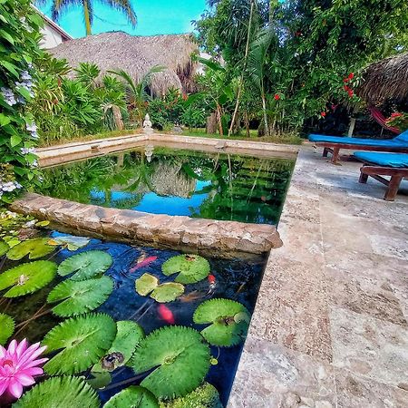 Casa Picaflor Bed & Breakfast Las Terrenas Bagian luar foto