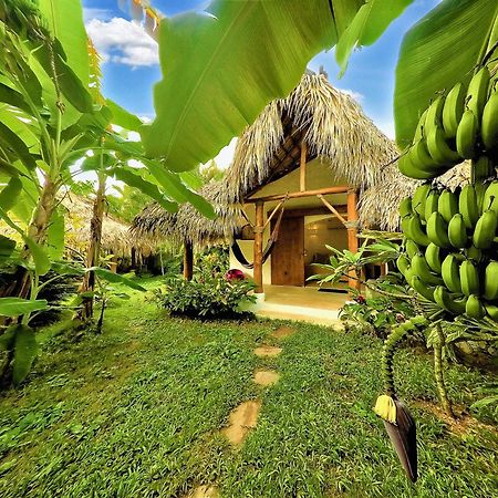 Casa Picaflor Bed & Breakfast Las Terrenas Bagian luar foto