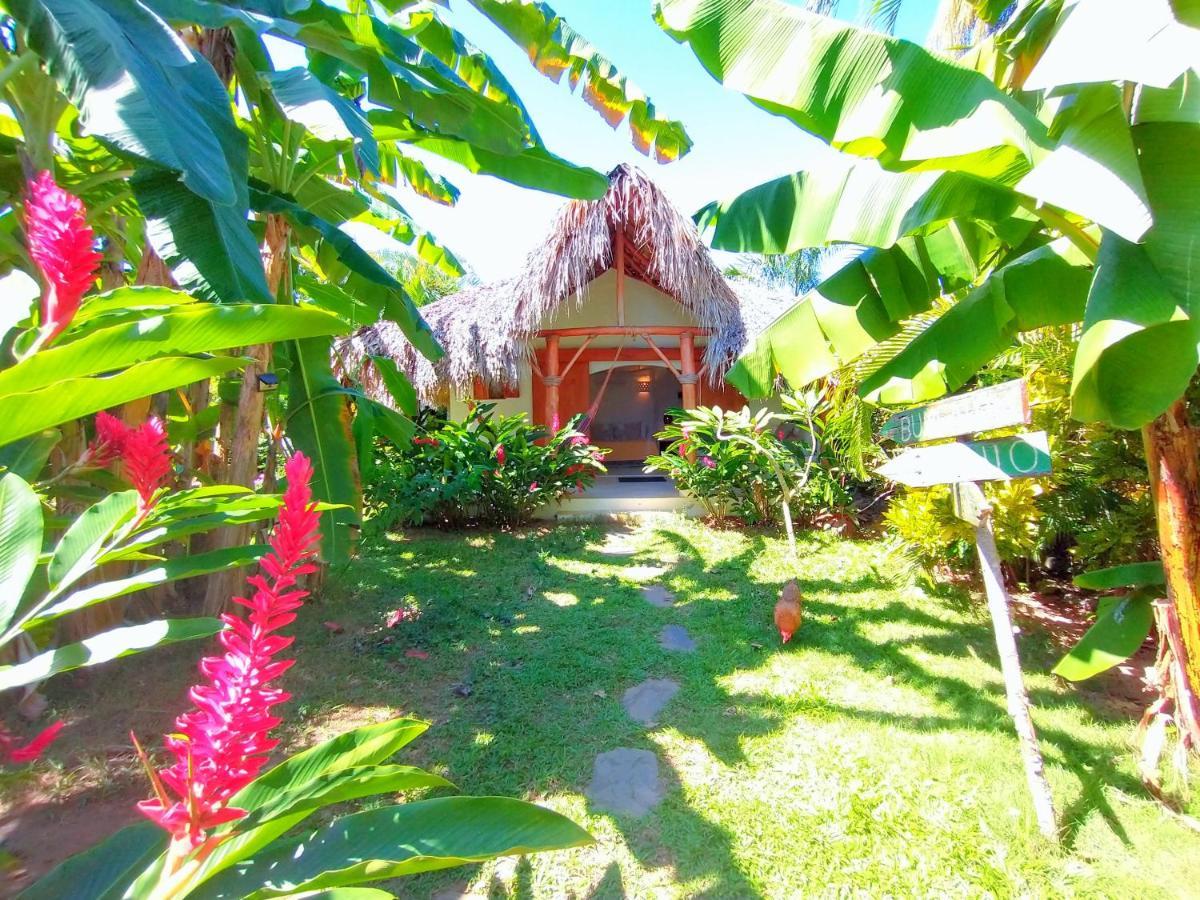 Casa Picaflor Bed & Breakfast Las Terrenas Bagian luar foto