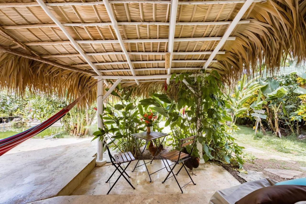 Casa Picaflor Bed & Breakfast Las Terrenas Bagian luar foto