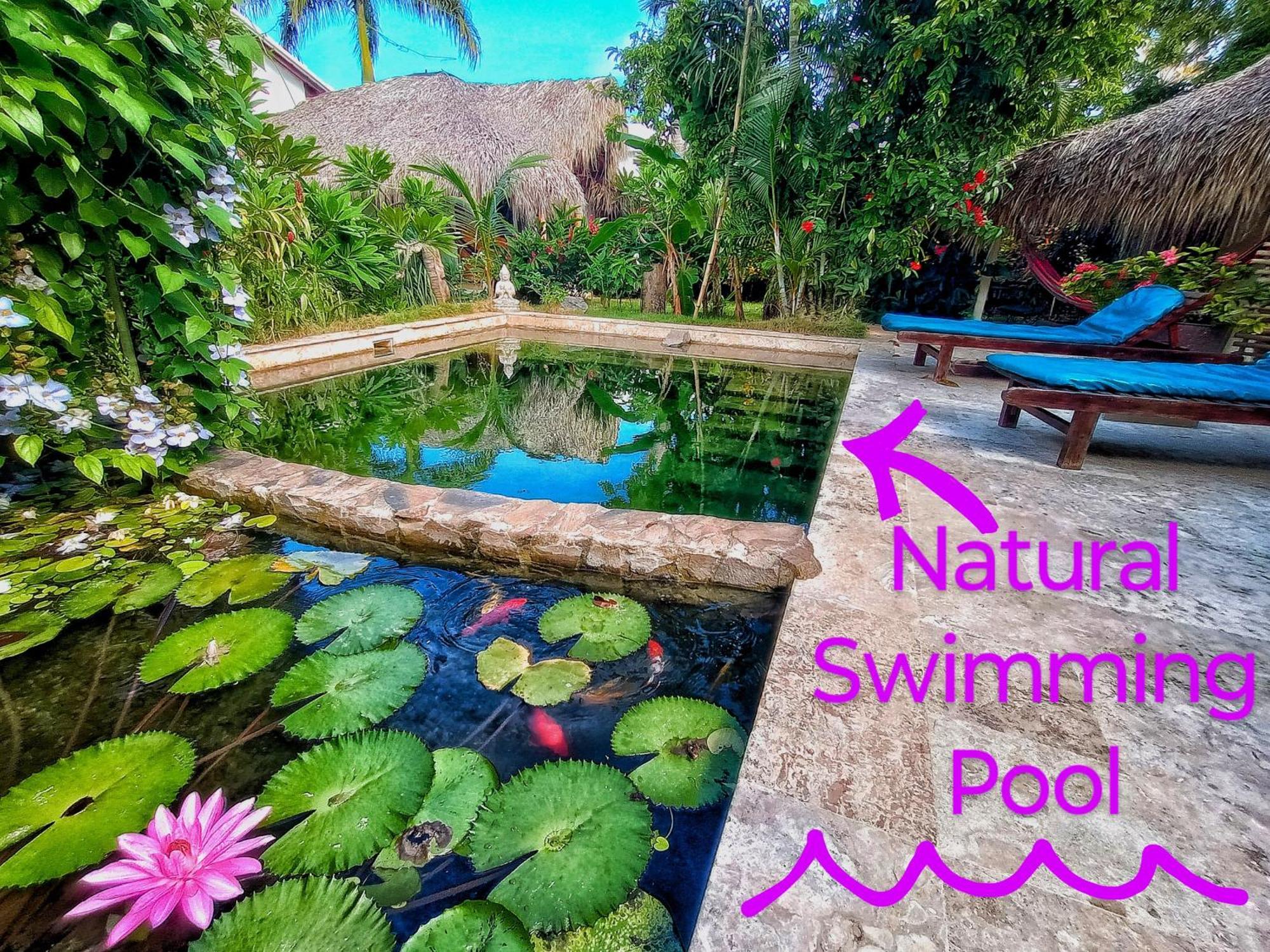 Casa Picaflor Bed & Breakfast Las Terrenas Bagian luar foto