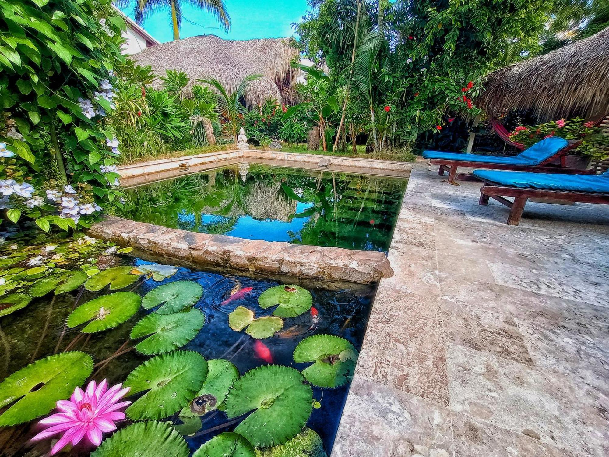 Casa Picaflor Bed & Breakfast Las Terrenas Bagian luar foto