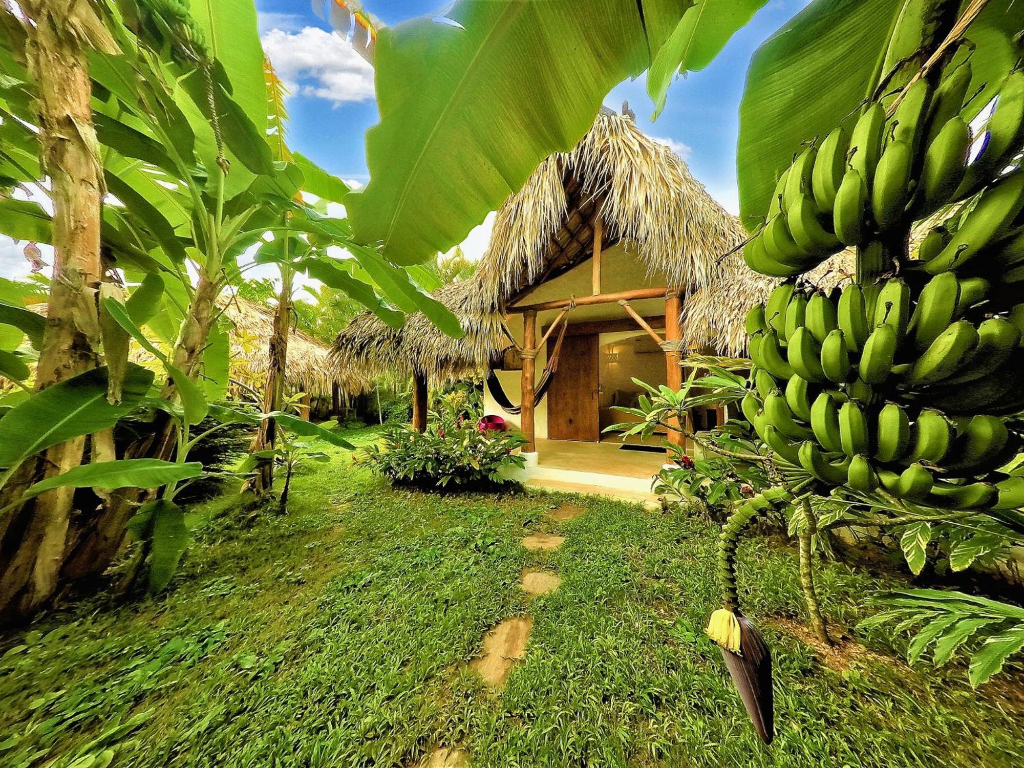 Casa Picaflor Bed & Breakfast Las Terrenas Bagian luar foto