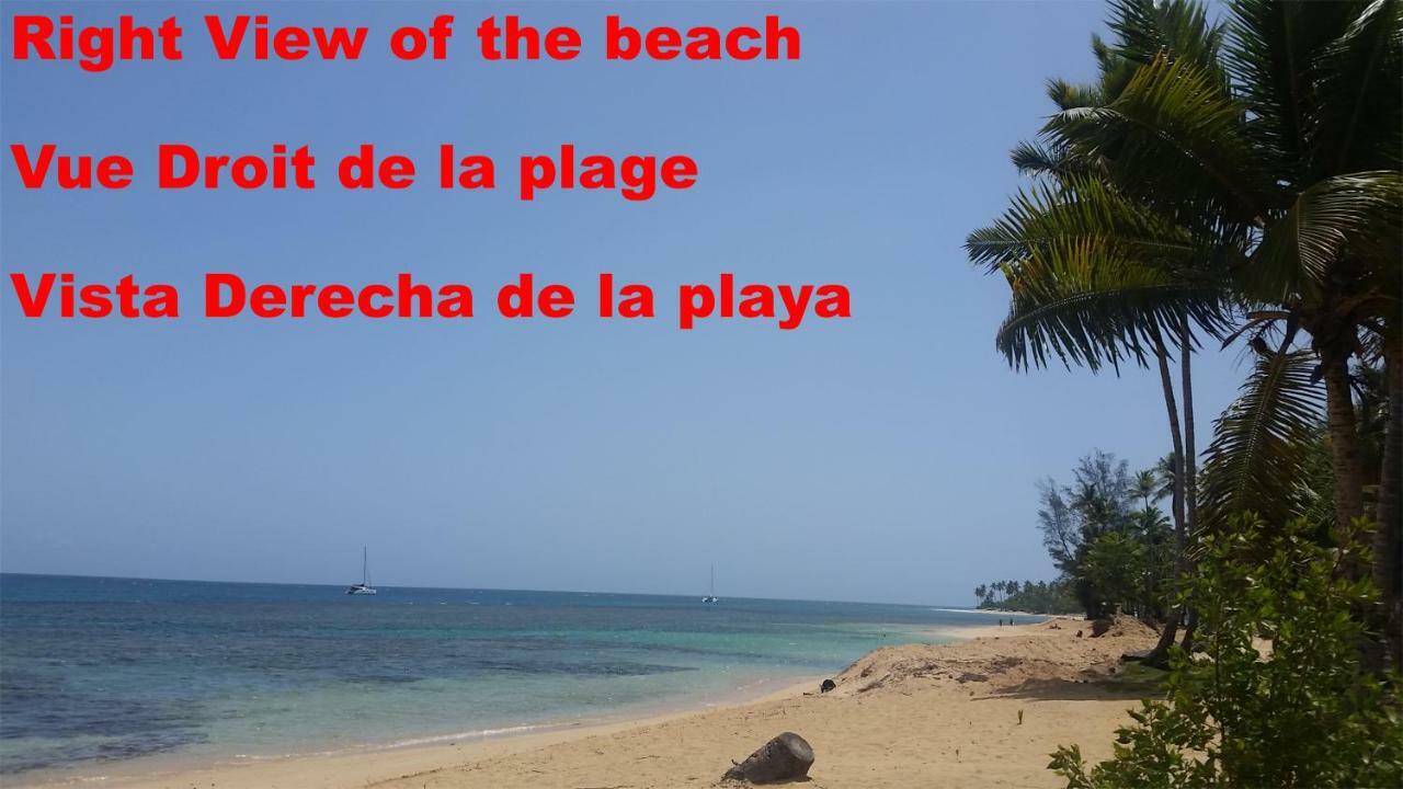 Casa Picaflor Bed & Breakfast Las Terrenas Bagian luar foto